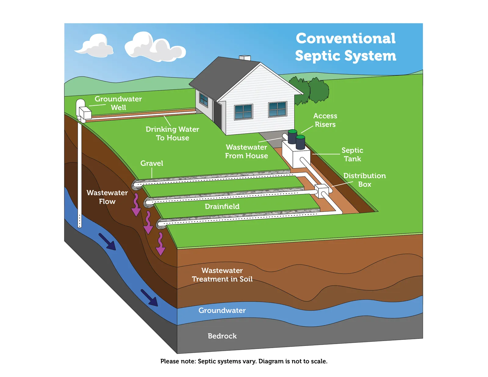 Cutaway diagram of a septic system showing the tank, distribution box, and drain field trenches under a lawn